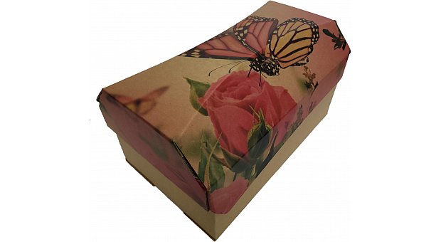 Outside The Box Ash Urn Butterfly